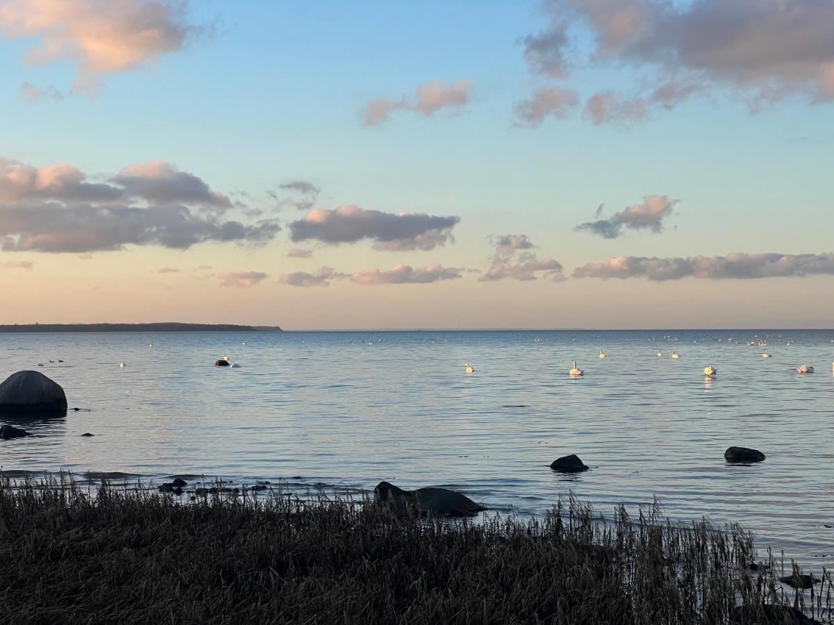 Hohenkirchen  Reet Und Meer Beckerwitz المظهر الخارجي الصورة