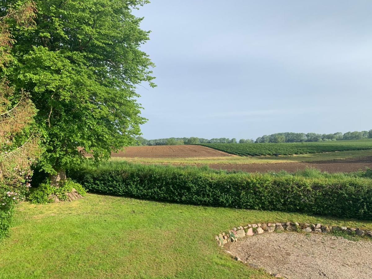 Hohenkirchen  Reet Und Meer Beckerwitz المظهر الخارجي الصورة